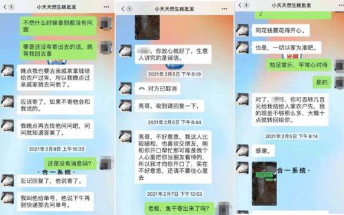 湛江爆料诈骗案件最新,揭秘连环骗局，受害者血本无归！