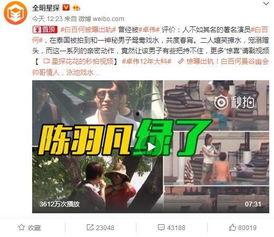 大溪最新爆料视频大全集,揭秘幕后真相，带你走进事件核心